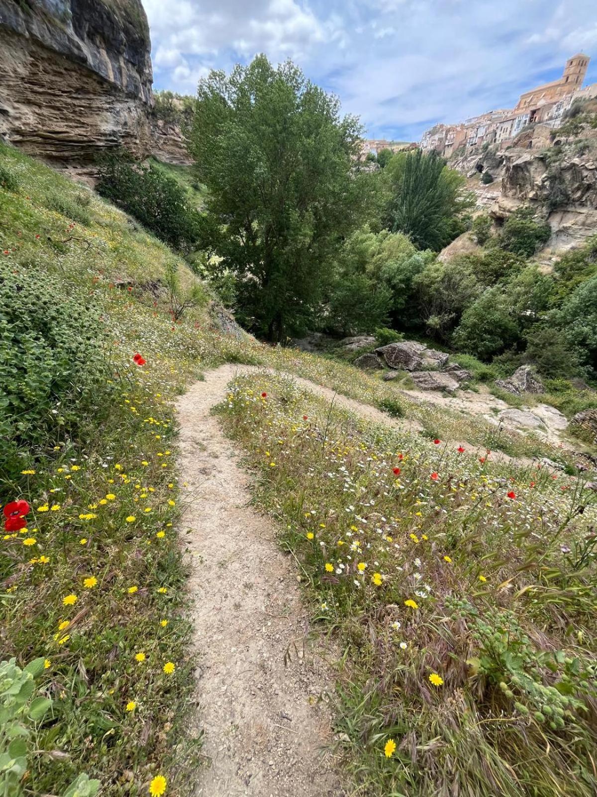 Alojamiento La Escalera Alhama de Granada Exteriér fotografie